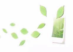 Leaf Magnet Set