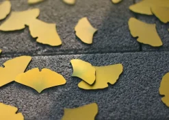 Leaf Magnet Set