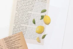 Lemon Pressed Fruit Sticker