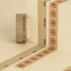 Life & Pieces Daily Paper Tape