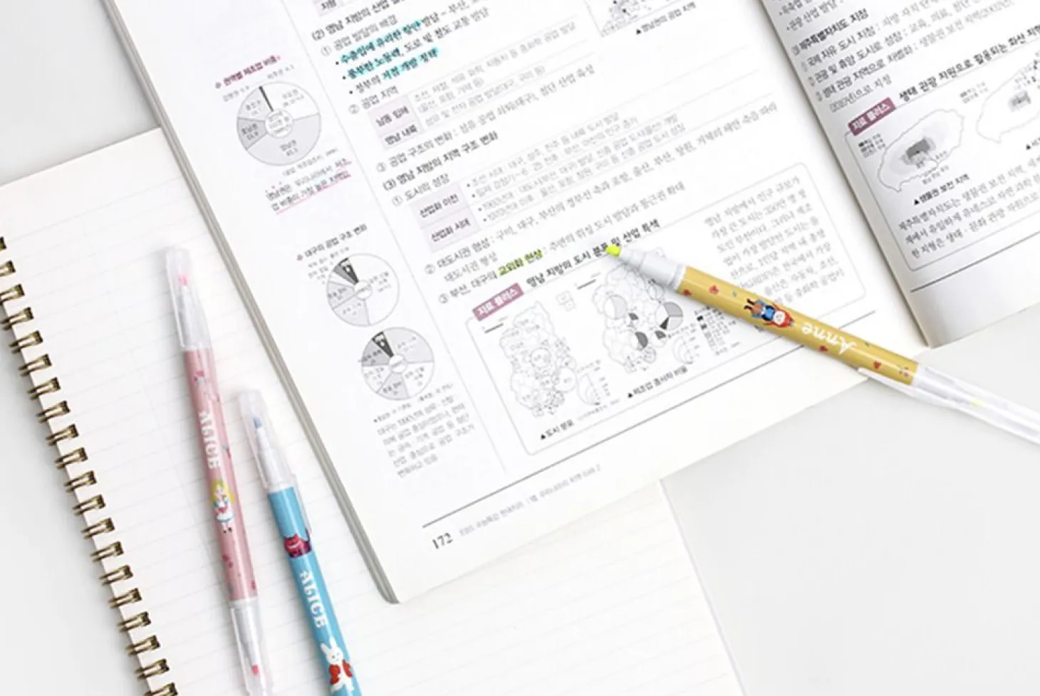 Literature Dual Highlighter Set v2
