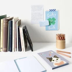 Literature Dual Index Sticky Book
