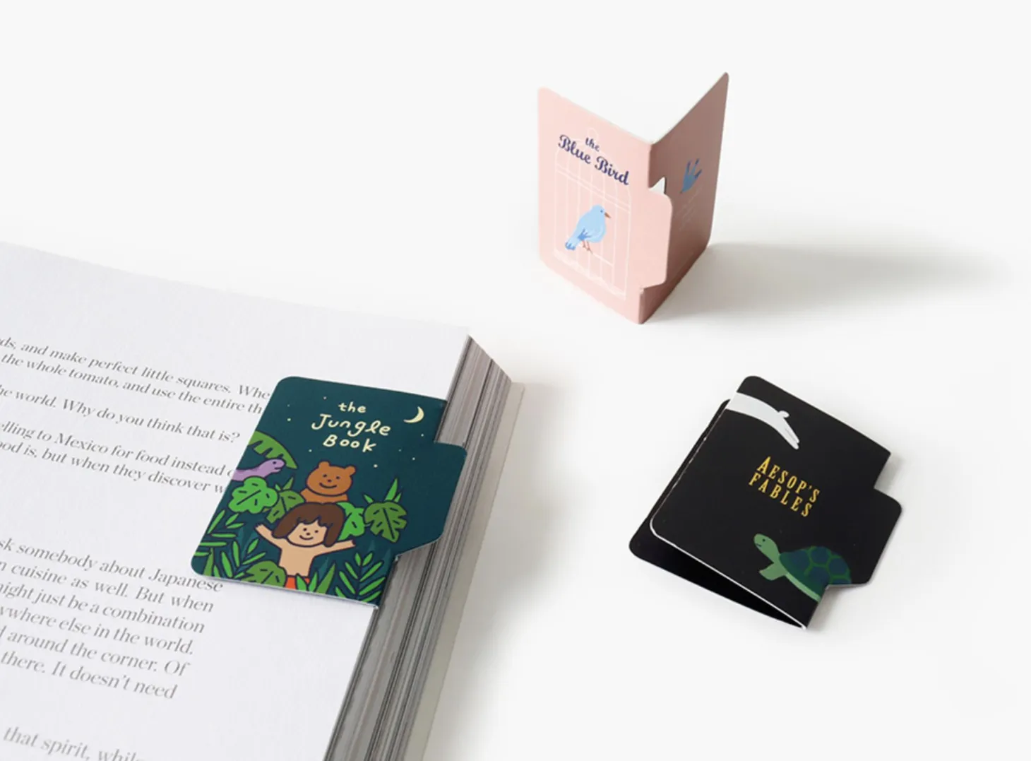 Literature Index Magnetic Bookmark