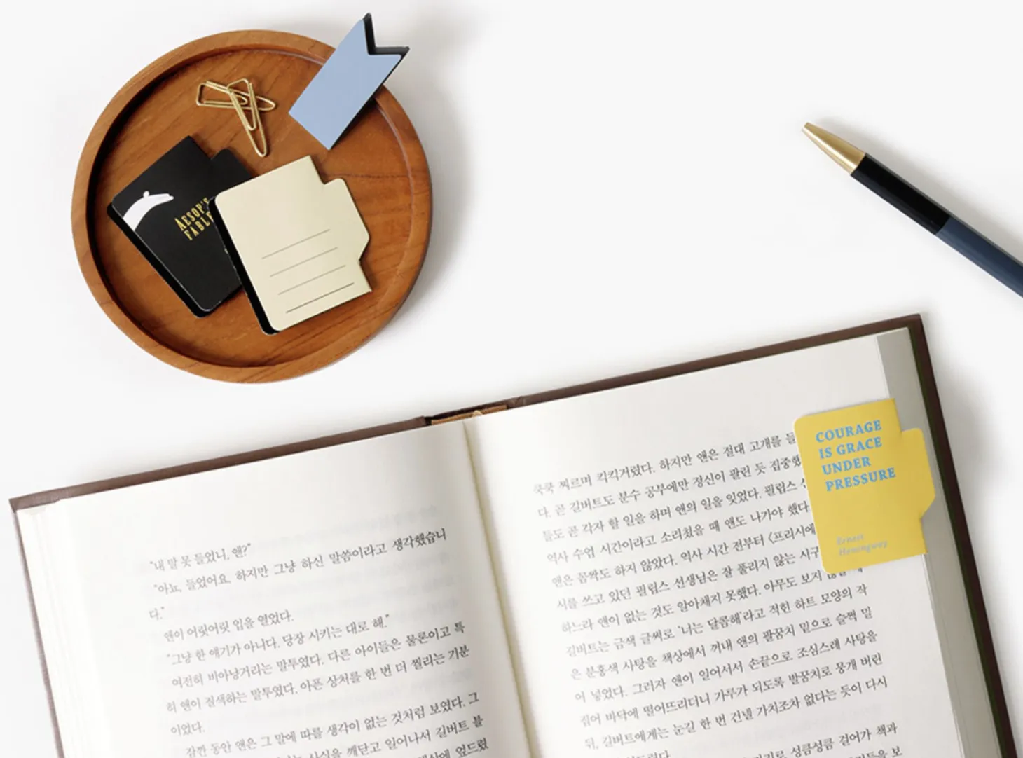 Literature Index Magnetic Bookmark