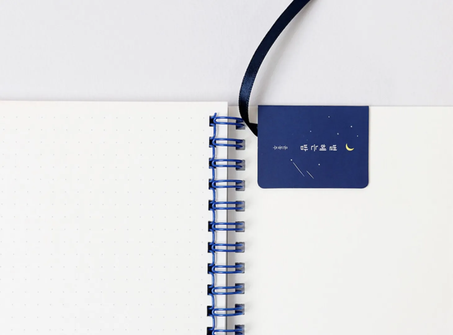 Literature Magnetic Bookmark String