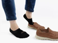 Literature No Show Socks