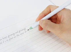 Literature Pencil & Eraser Set
