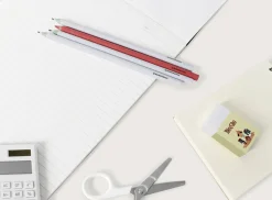 Literature Pencil & Eraser Set