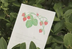 Little Garden Friends Letter Set