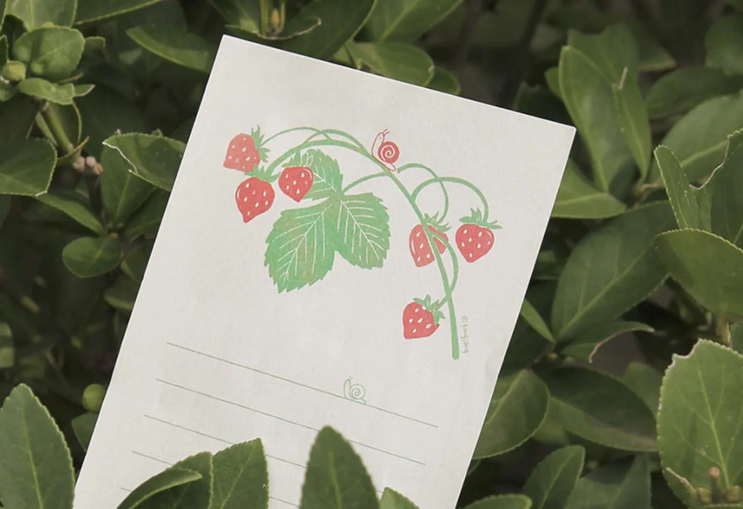 Little Garden Friends Letter Set