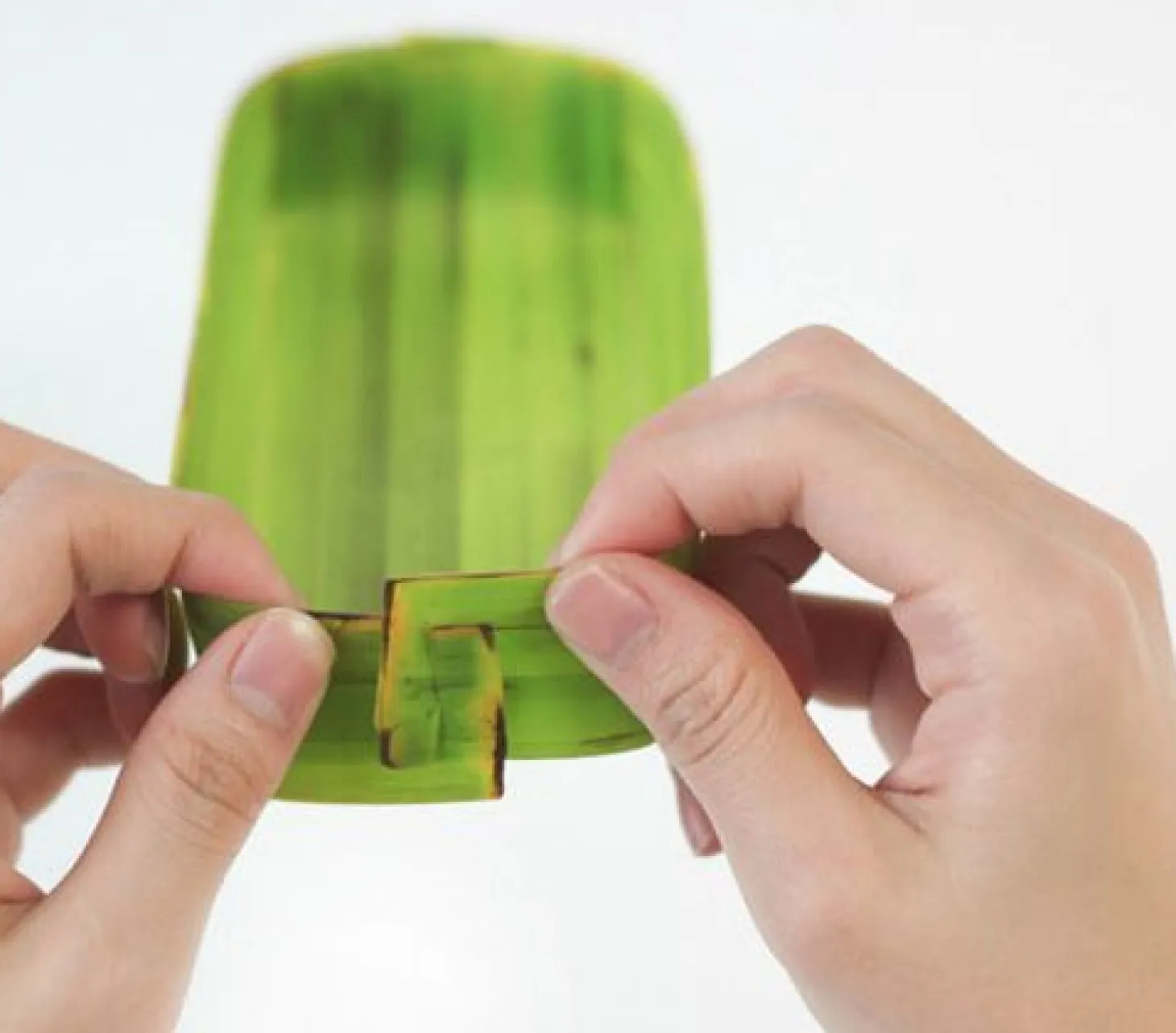 Long Banana Leaf Tray