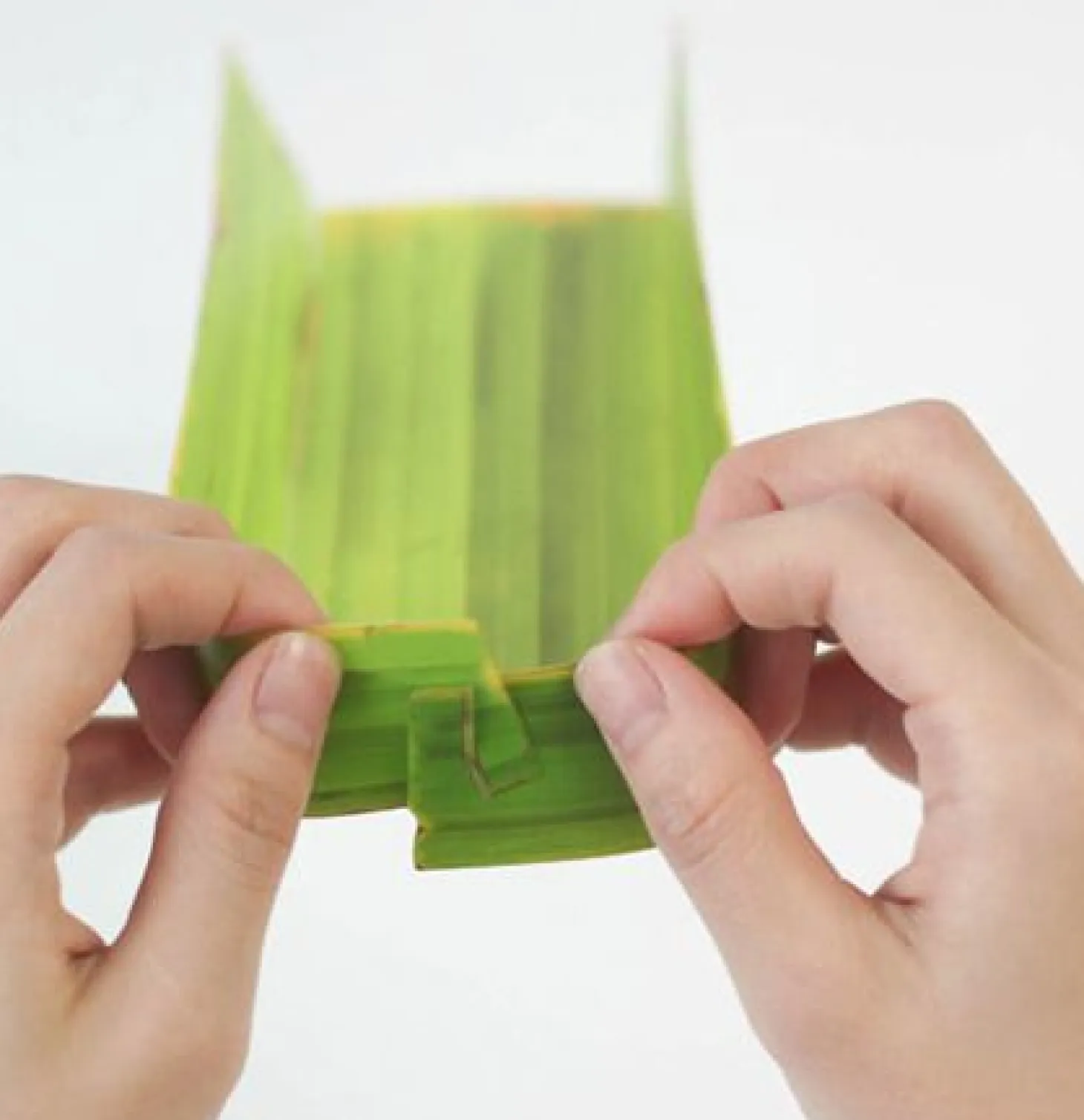 Long Banana Leaf Tray