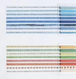 Long Index Highlighter Sticky Note v2