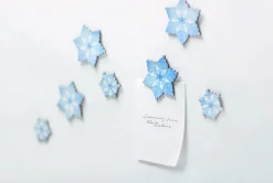 Magnet Set