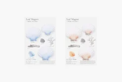 Magnet Set