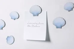 Magnet Set