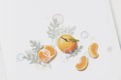 Mandarin Orange Pressed Fruit Sticker
