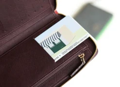 Medium Fasnacht Zipper Wallet