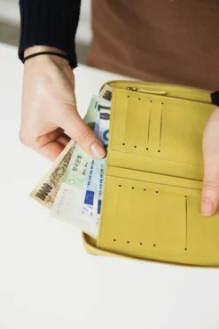Medium Fasnacht Zipper Wallet
