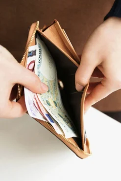 Medium Fasnacht Zipper Wallet