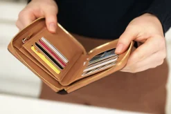 Medium Fasnacht Zipper Wallet