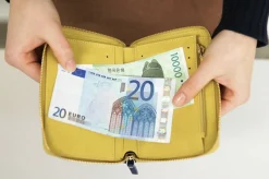 Medium Fasnacht Zipper Wallet