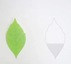 Medium Leaf Sticky Note