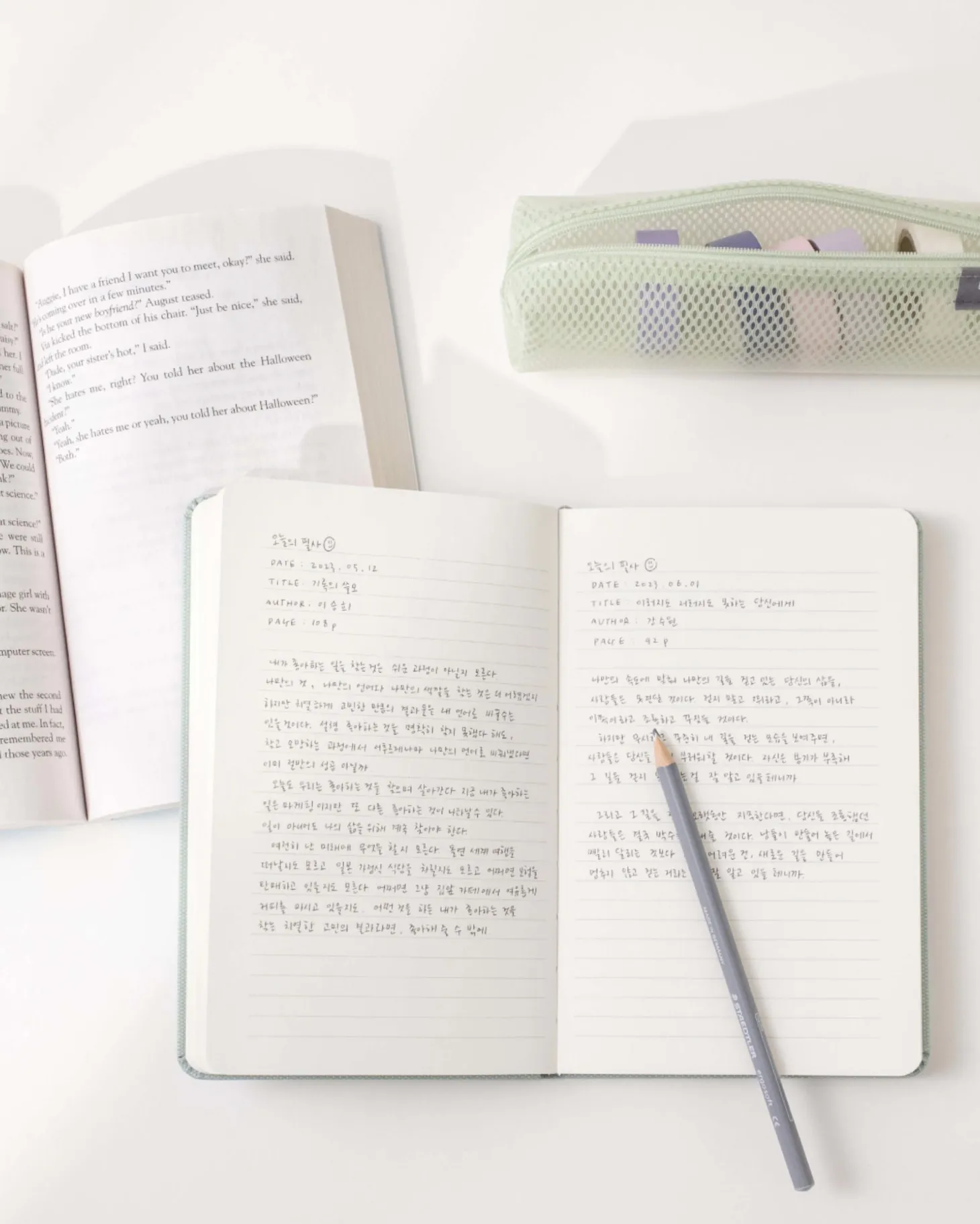 Medium Record Hardcover Lined Notebook v3