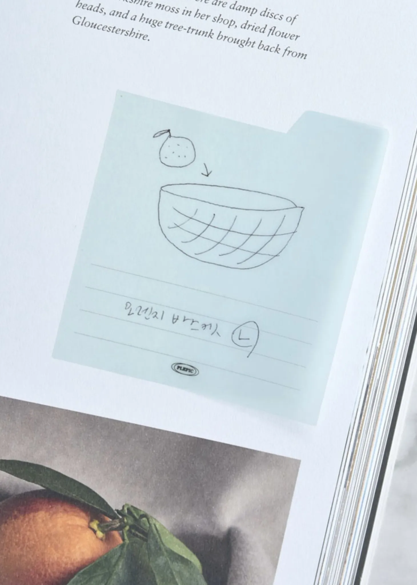 Medium Tracing Index Sticky Note