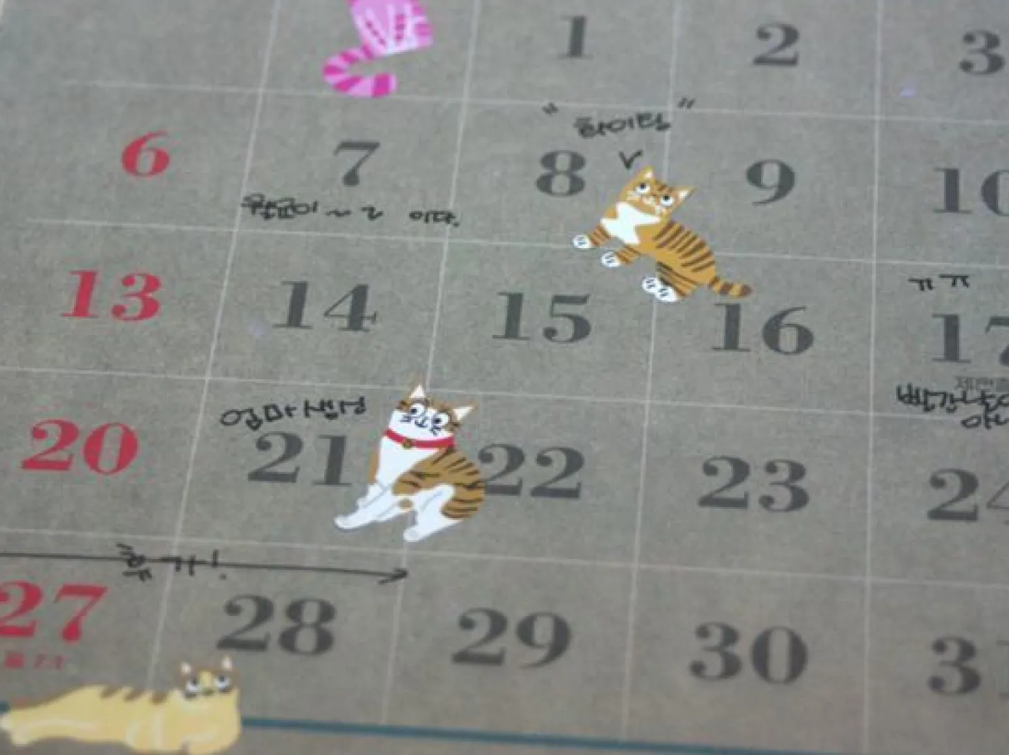 Meow Deco Sticker