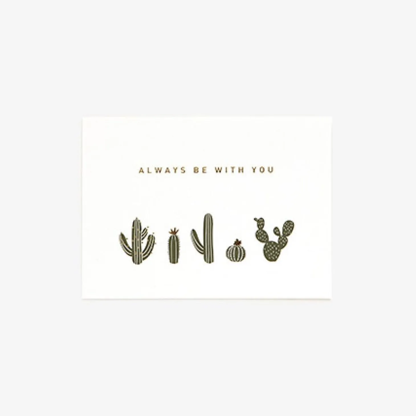Message Card v2