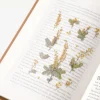 Mimosa Pressed Flower Sticker