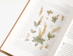 Mimosa Pressed Flower Sticker