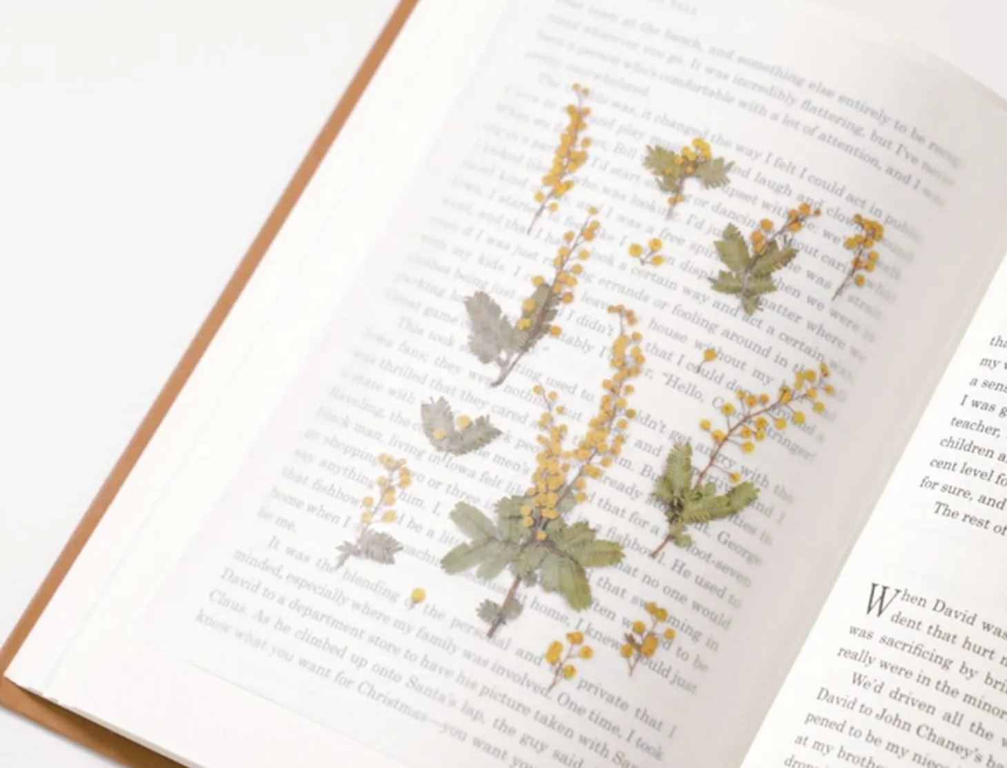 Mimosa Pressed Flower Sticker