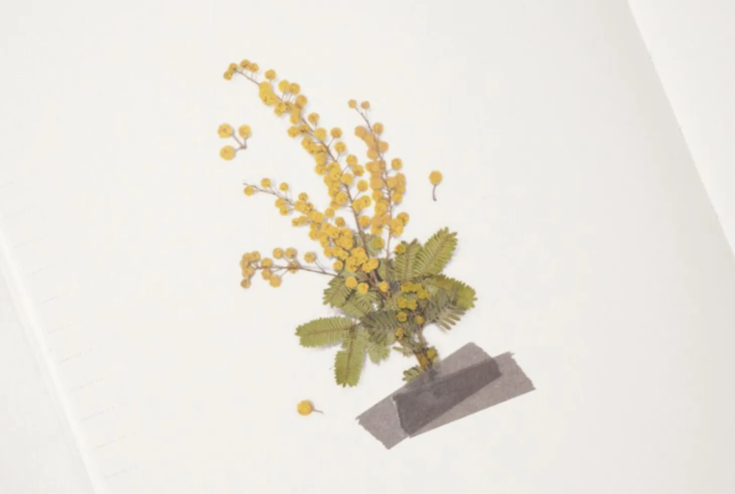 Mimosa Pressed Flower Sticker