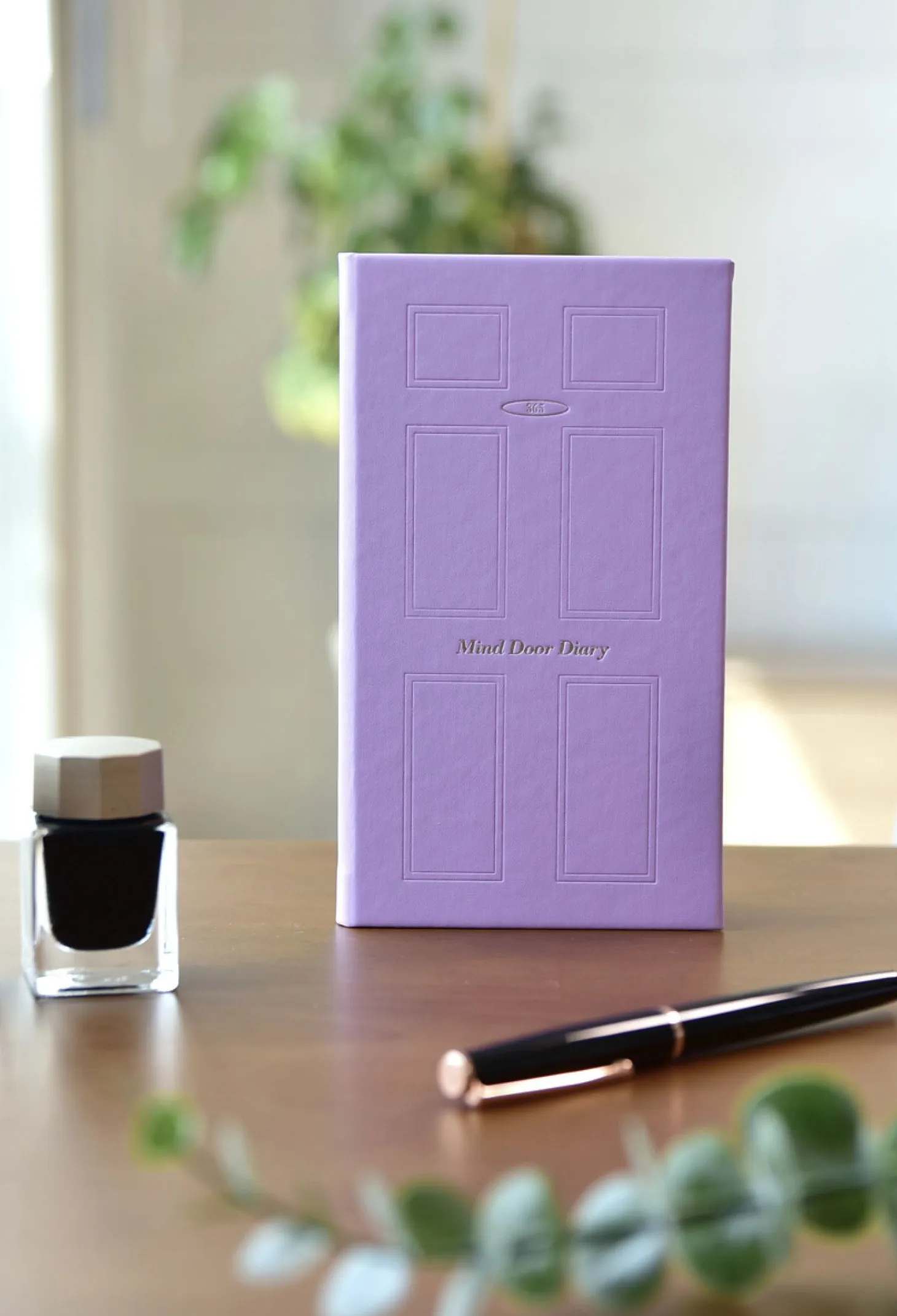 Mind Door Fountain Friendly Diary Journal