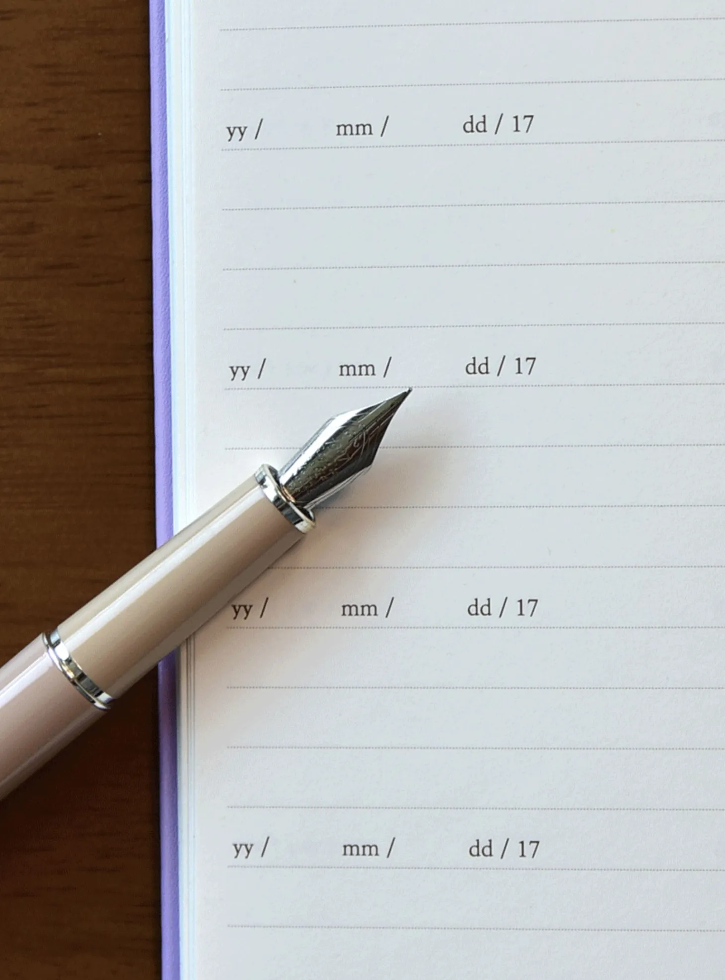 Mind Door Fountain Friendly Diary Journal