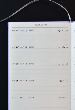 Mind Door Fountain Friendly Diary Journal