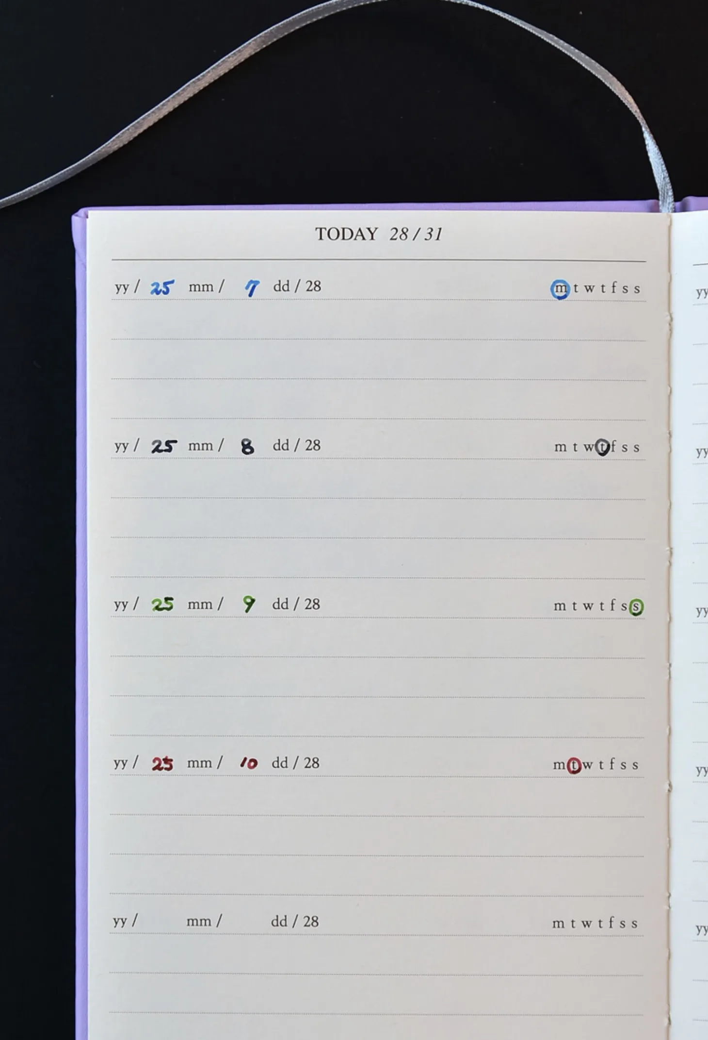 Mind Door Fountain Friendly Diary Journal