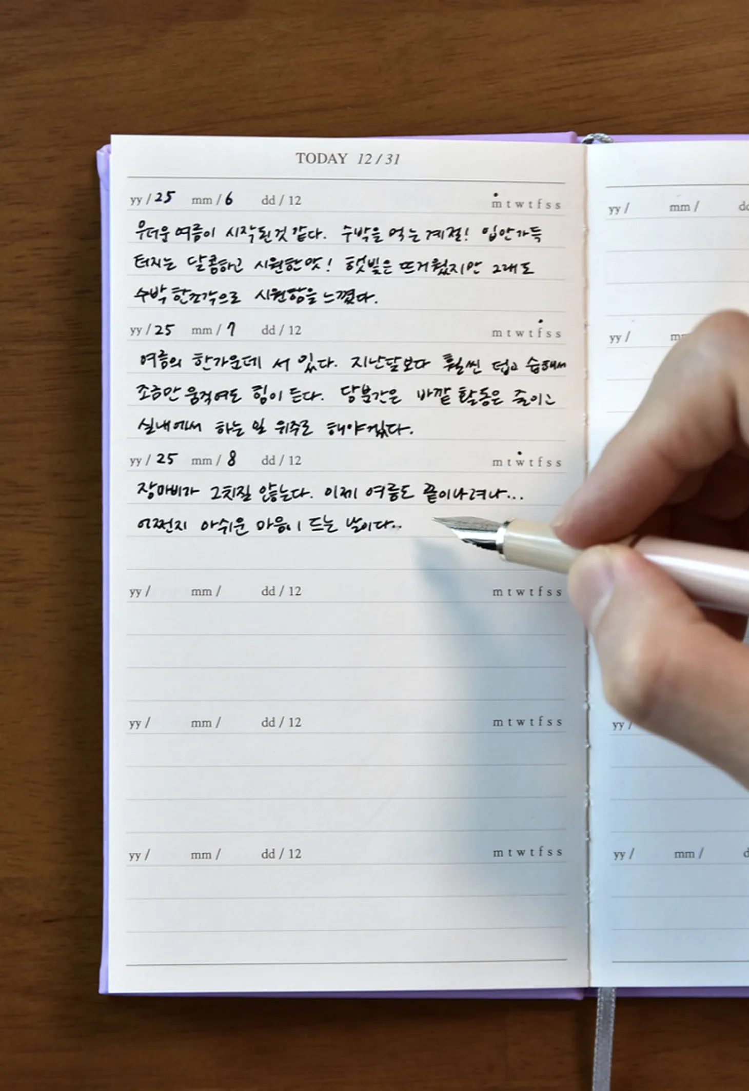 Mind Door Fountain Friendly Diary Journal