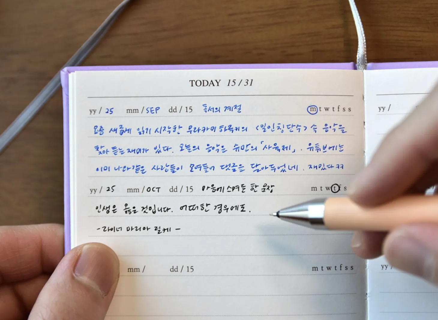 Mind Door Fountain Friendly Diary Journal