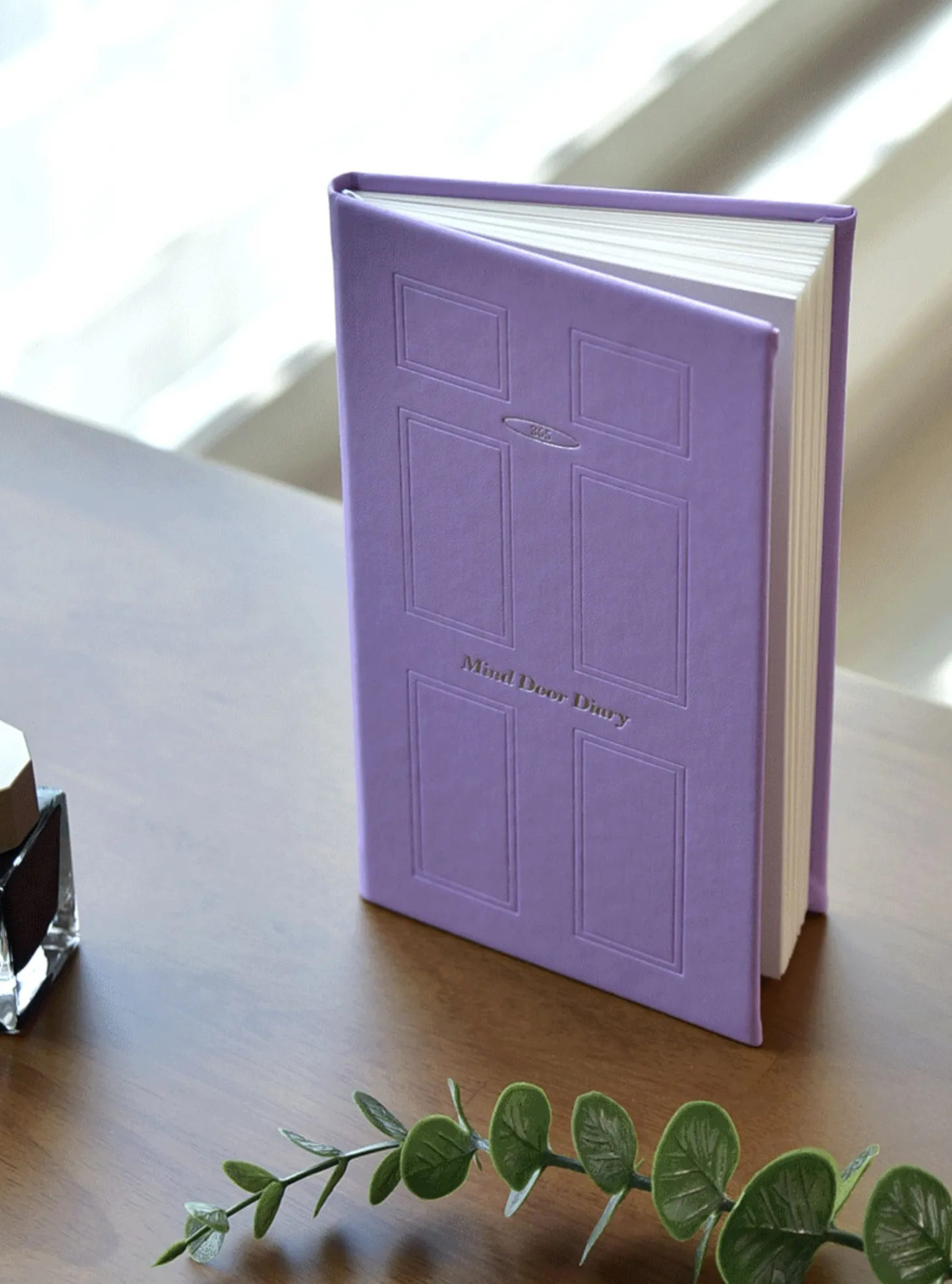 Mind Door Fountain Friendly Diary Journal