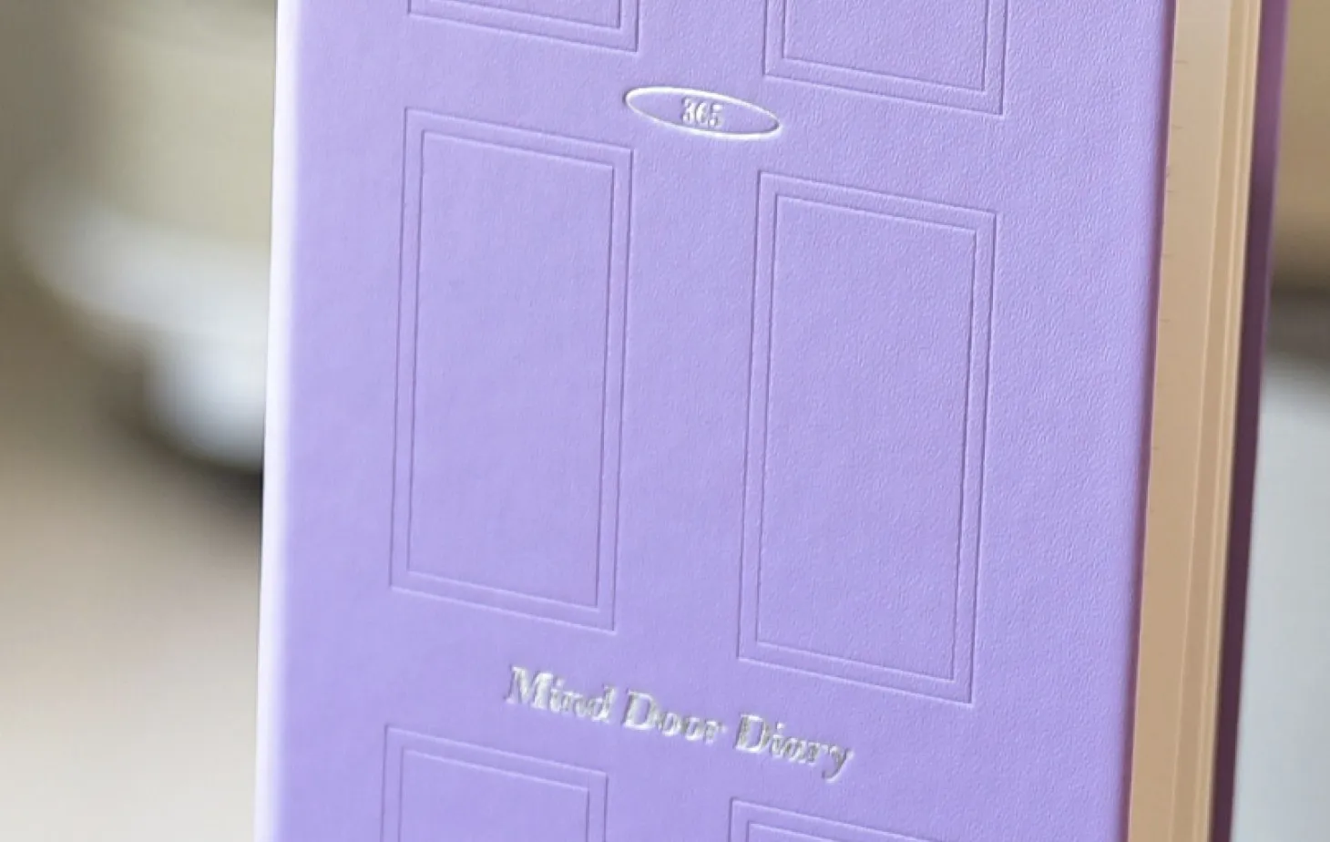Mind Door Fountain Friendly Diary Journal