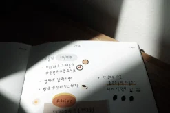 Mini Food Deco Sticker v3