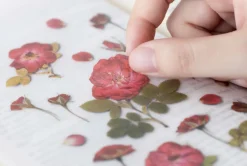 Mini Rose Pressed Flower Sticker
