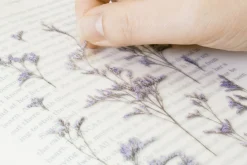 Misty Blue Pressed Flower Sticker
