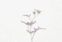 Misty Blue Pressed Flower Sticker