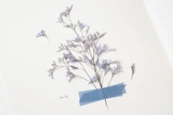 Misty Blue Pressed Flower Sticker