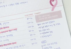 6 Month Plan B Study Planner