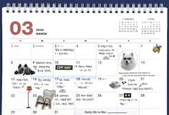 2025-2026 18 Months Desk Calendar